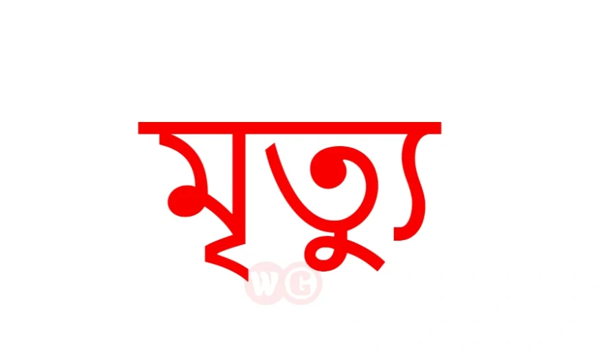 দৌলতপুরে সেফটিক ট্যাংকে ২ রাজমিস্ত্রীর মৃত্যু