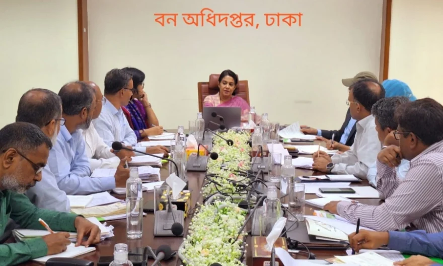 ইউক্যালিপটাস ও আকাশমণি গাছ রোপণ বন্ধ করতে বিশেষ নির্দেশনা